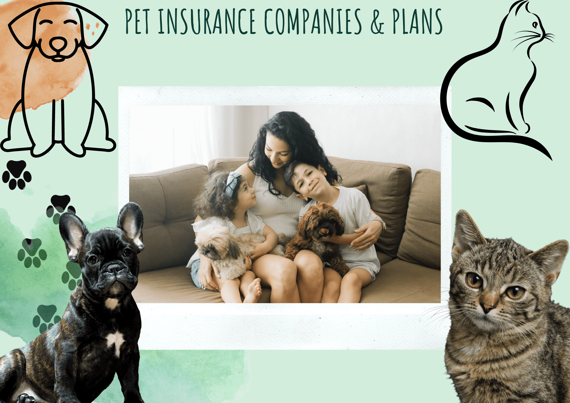 Pet Insurance Companies & Plans