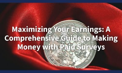 Maximizing Earnings With Online Surveys