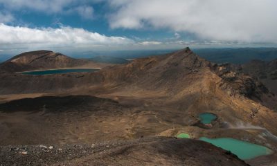 New Zealands North Island 5 Experiences You Should Not Miss