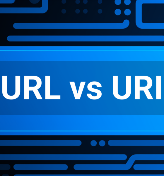 Uri Vs Url: What’S the Difference between the Two?